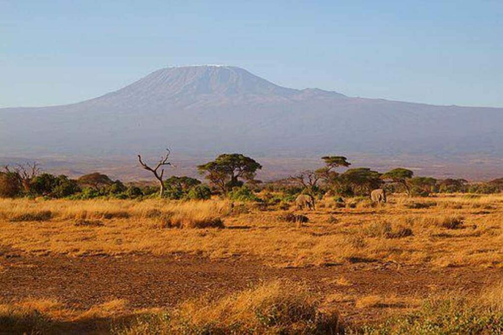Kenya Household Trip – Know What age Your Child Means For Your personal private Planning and Funds