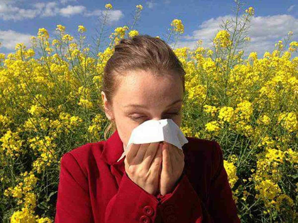Precisely why Do You Have Allergies? What Causes All of them and How Can You Reduce Or even Eliminate Them For Good?
