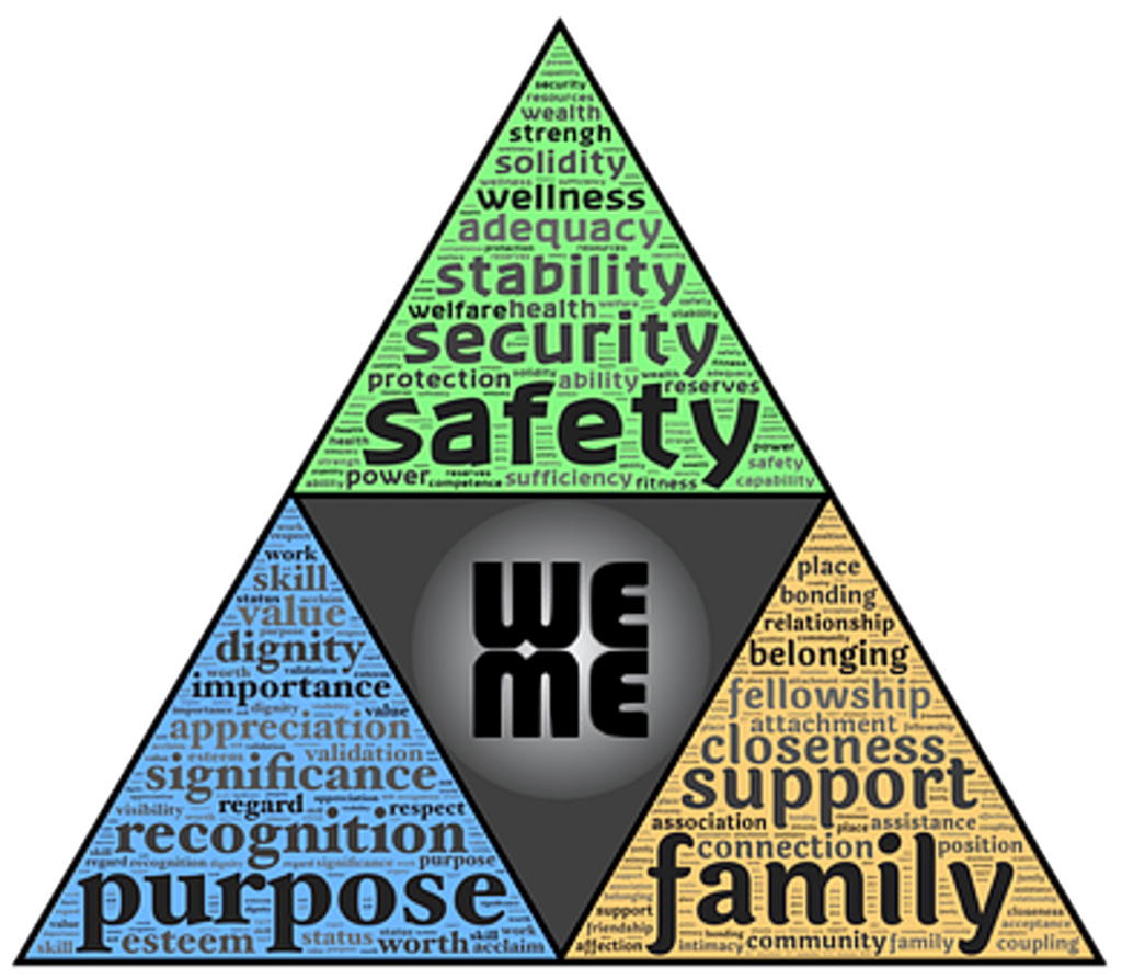 The reason why a Home Survey is a Must and Not a Luxury
