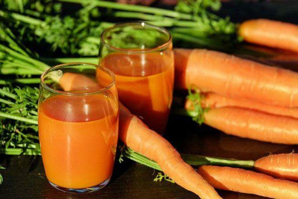 Fusion Juicer Reviews – Which Fusion Juicer is Right For You?