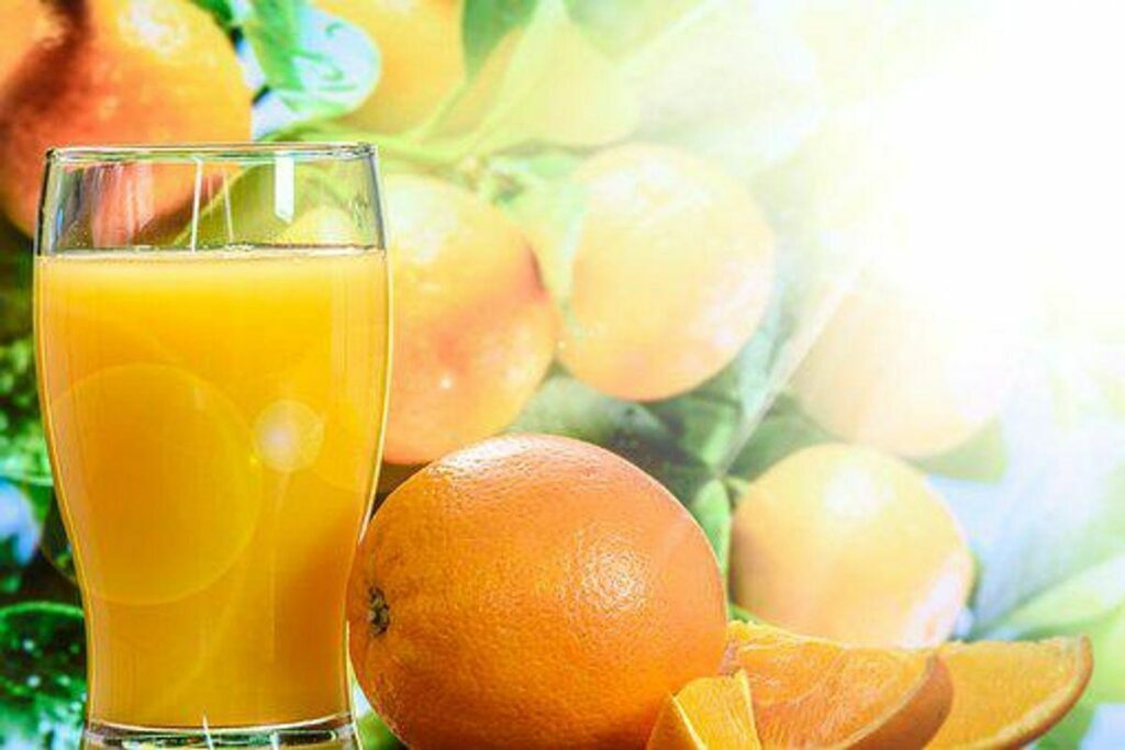 Kmart Juicer Review