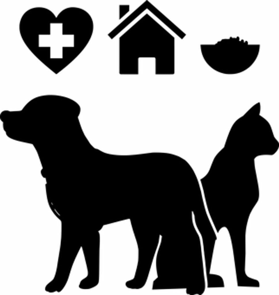 Figo Pet Insurance Reviews