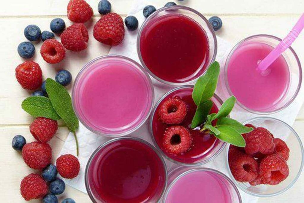 Champion Juicer Reviews
