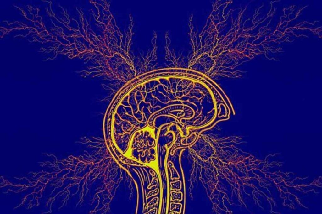 Signs of ADHD – Be taught How one can Acknowledge and Deal with Them