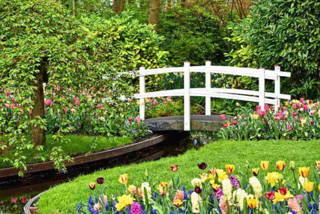 Keukenhof Gardens – The Garden of Europe
