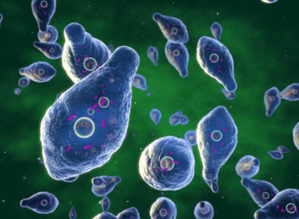 Botulism – A Severe Medical Situation
