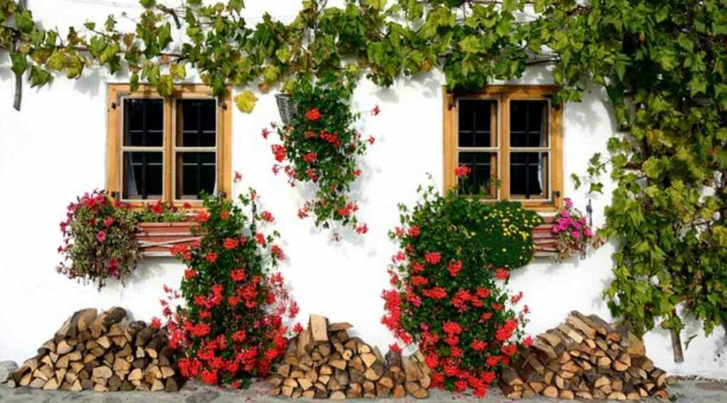 Low Upkeep Home Crops