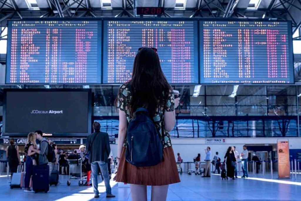 Check Your IndiGo Flight & PNR Status Quickly And Easily