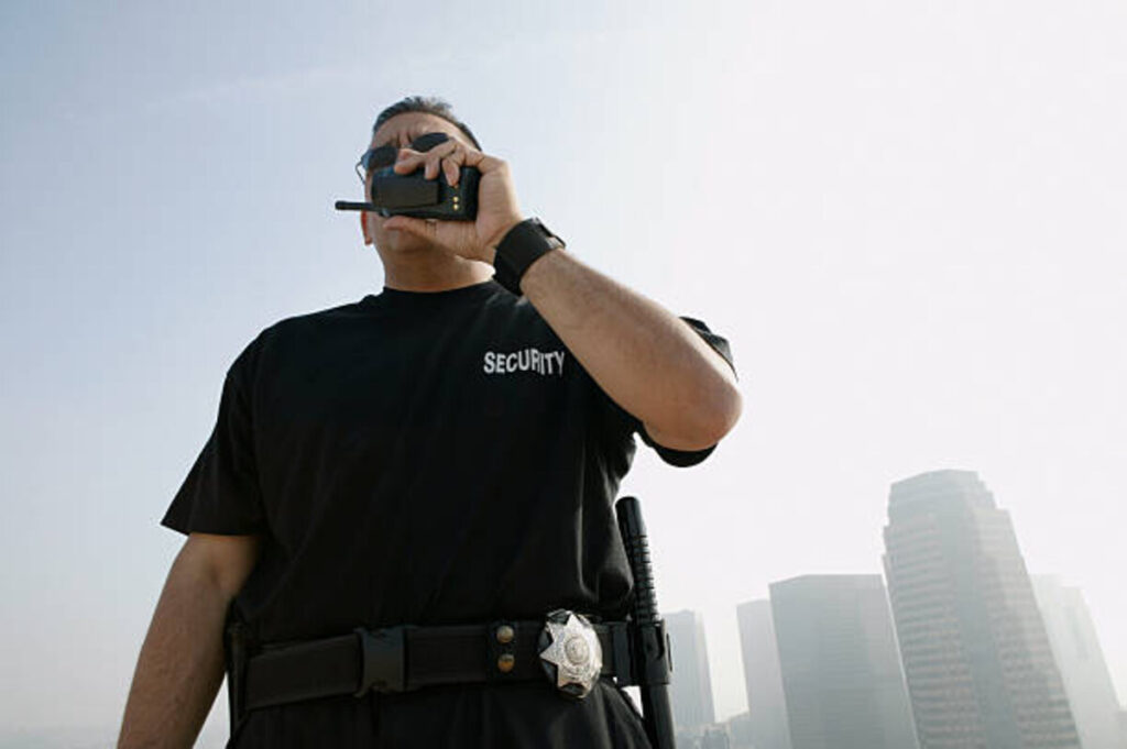 Do You Need a Bodyguard?