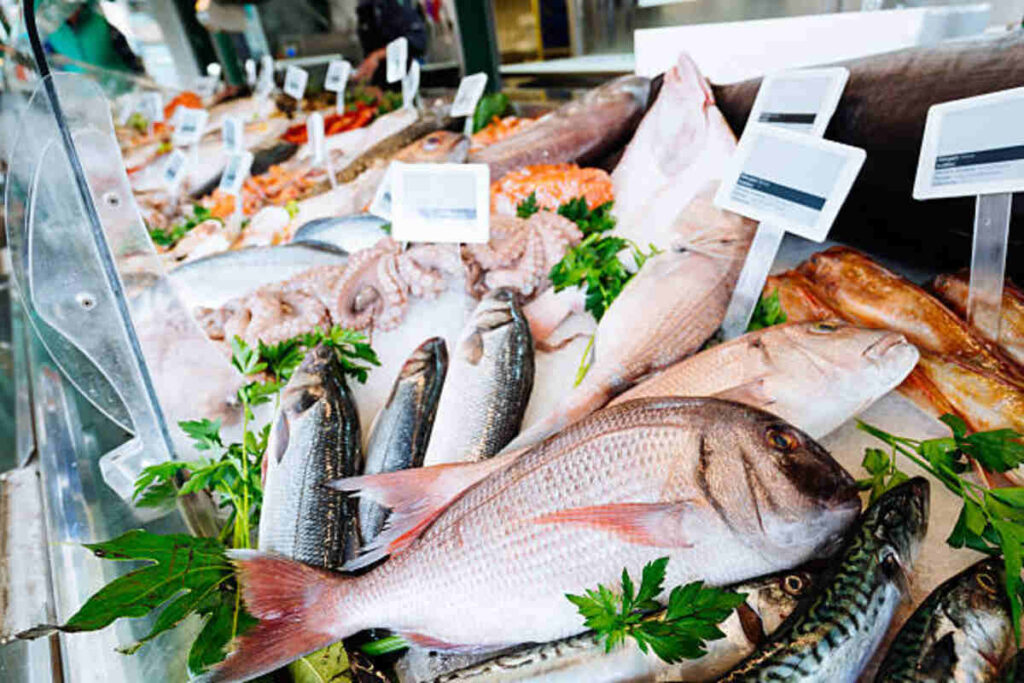 Fish Shop Near Me in Kolkata