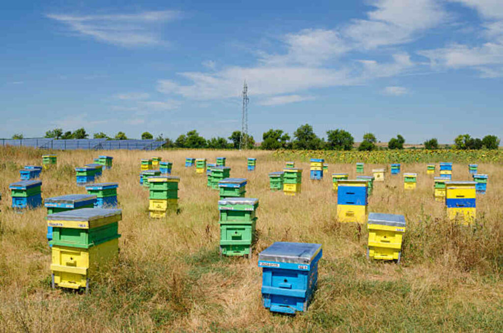 Busy Bee Storage – 3804 State Route 111 in Granite City