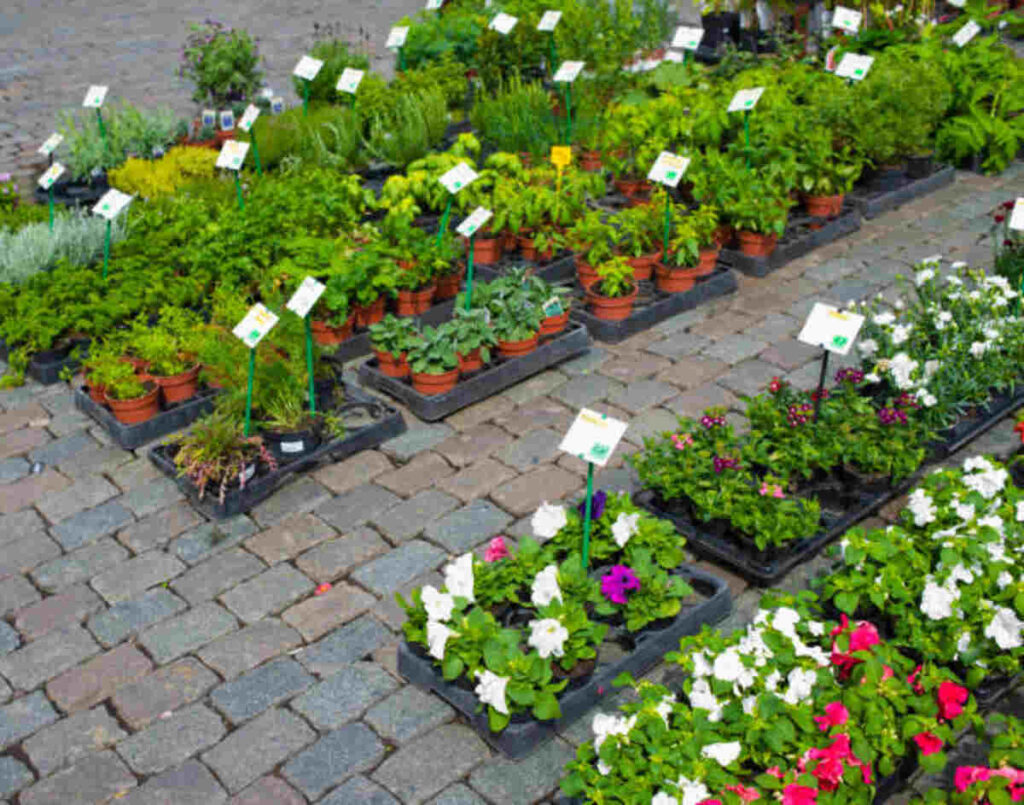 Five East Coast Garden Centers