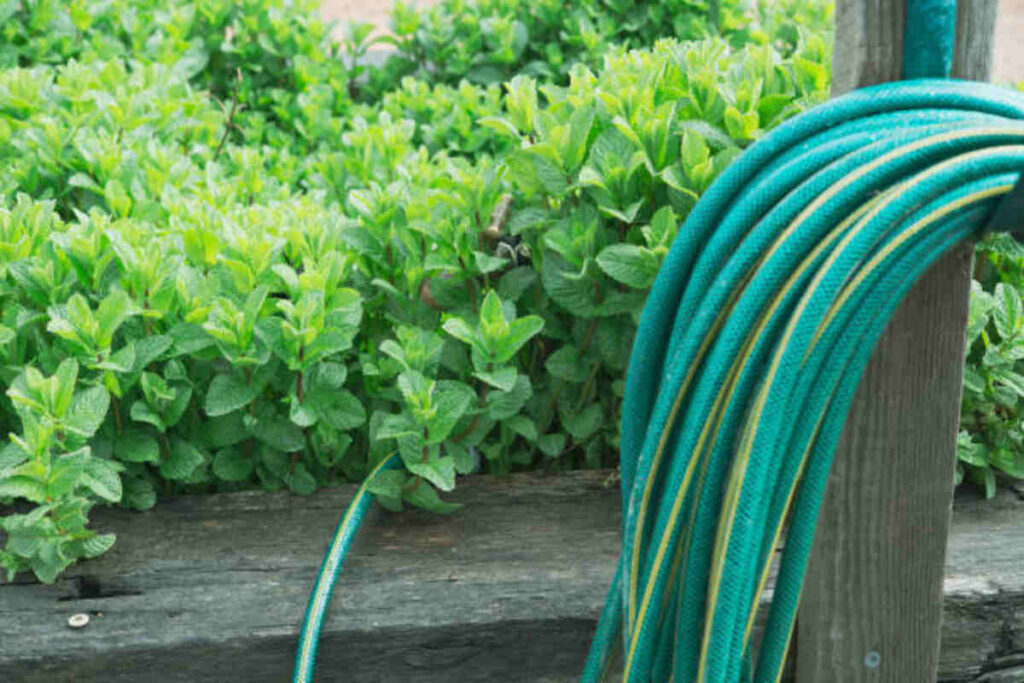 The Importance of Garden Hose Thread Size