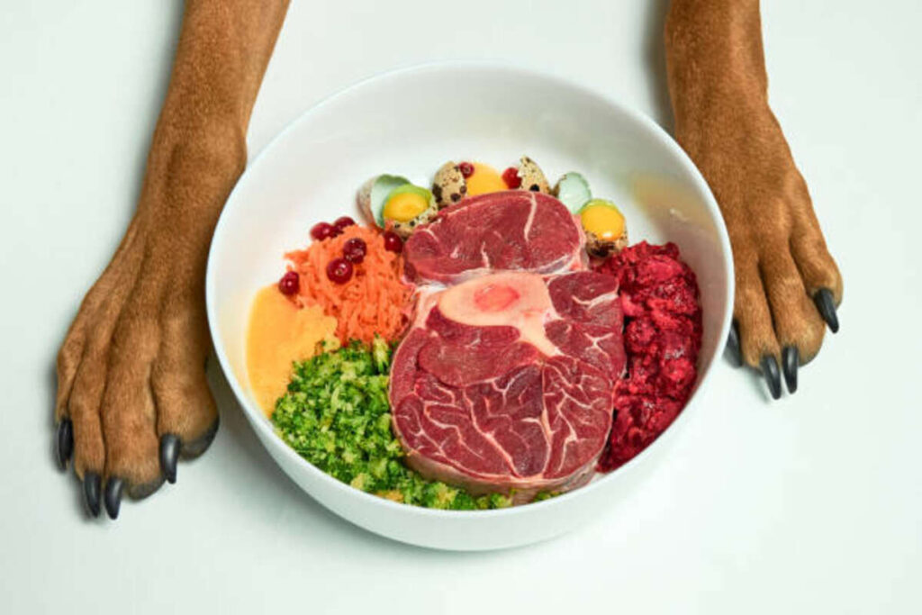 Lamb Dog Food