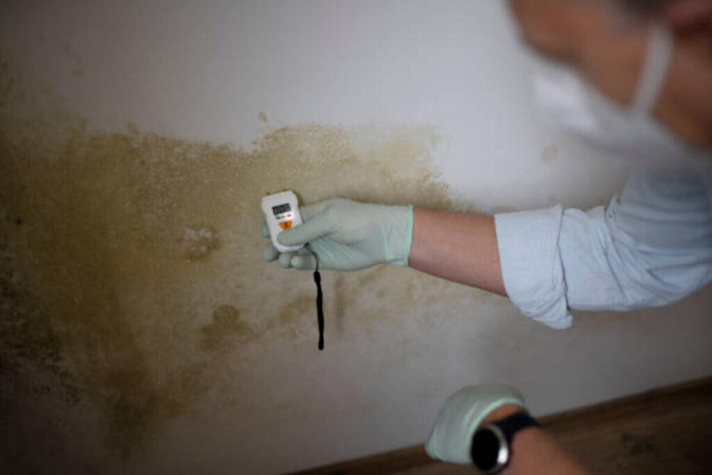 The Silent Threat: Understanding Basement Moisture Problems