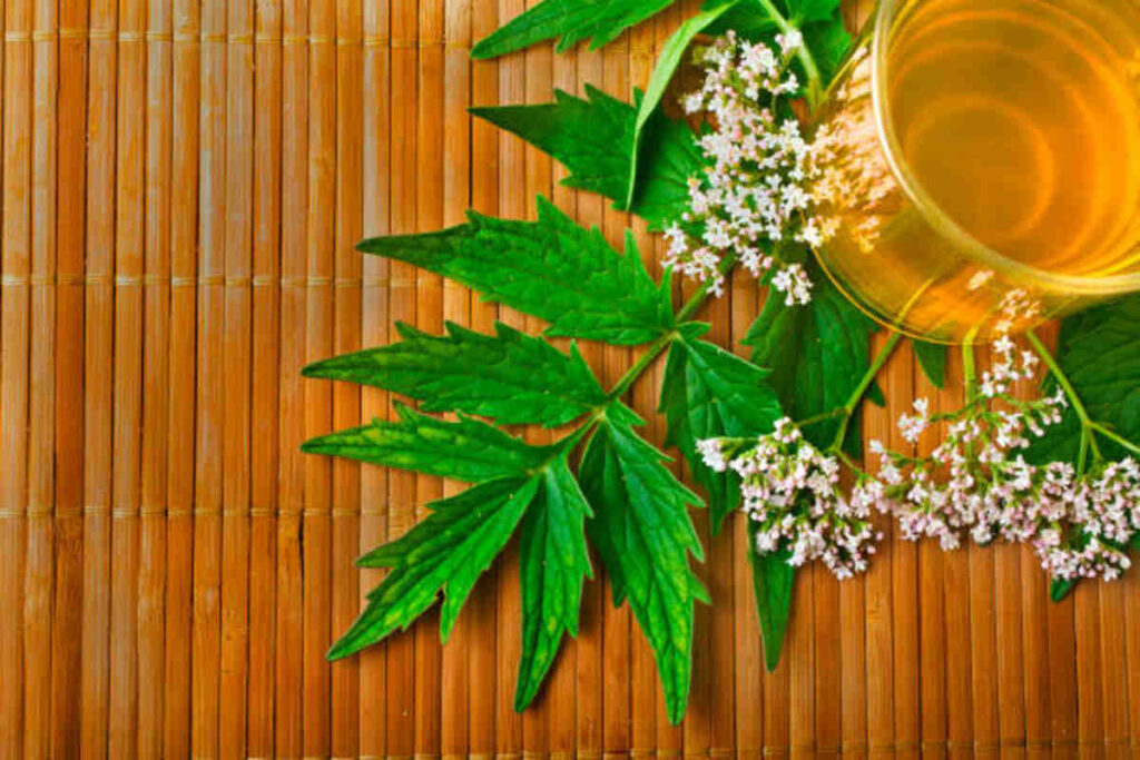 Comprehending CDT Weed: Benefits and also Risks